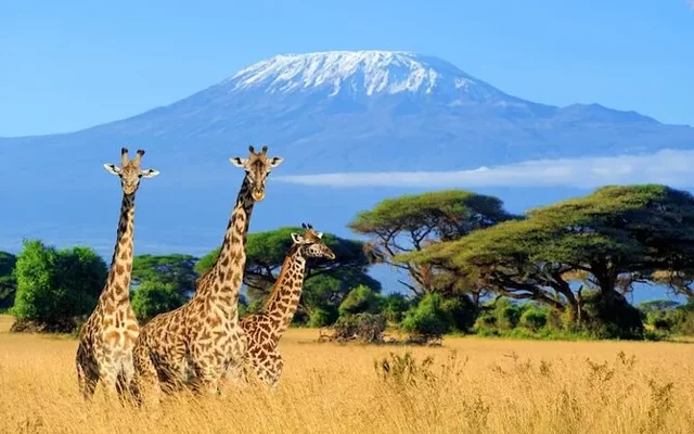 Kenya