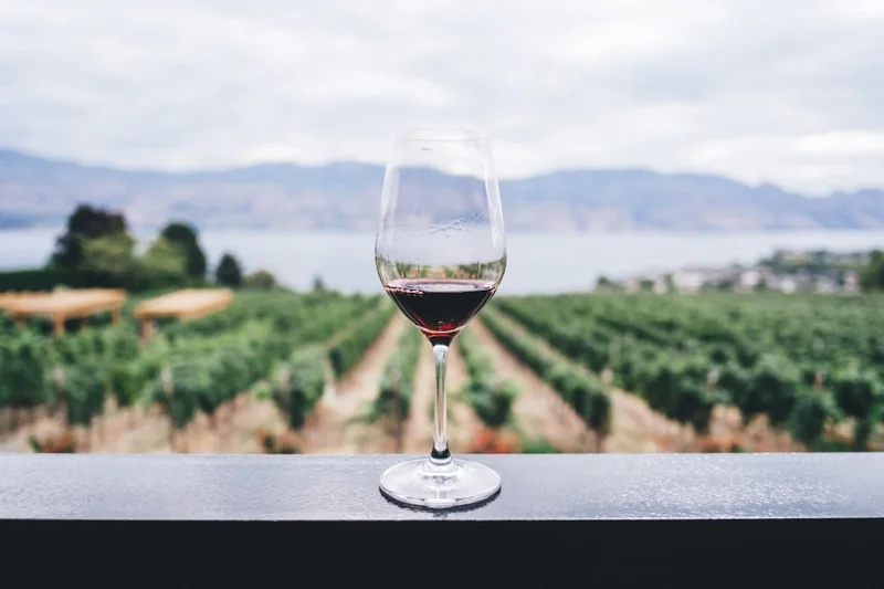 Glass of white wine poured at a tasting table