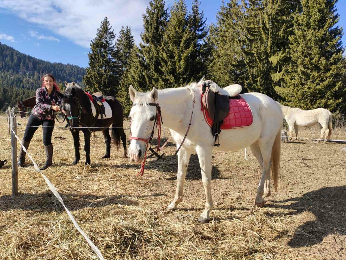 Cours d'équitation au cœur de la Vallée des Roses
