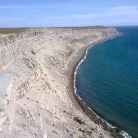 Ganztägige Tour zur Punta Ninfas ab Puerto Madryn