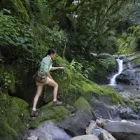 Tour de Medio Día por las Yungas desde Tucumán