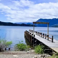 Hua Hum Day Trip from San Martin de los Andes including Lanin National Park