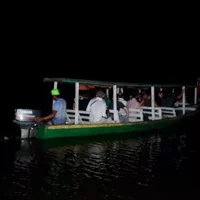 Alligators Night Watch