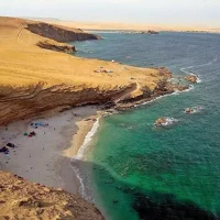 Tour de Medio Día por la Reserva Nacional de Paracas