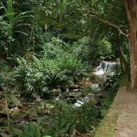 Botanical Garden and Tijuca Rainforest Jeep Tour
