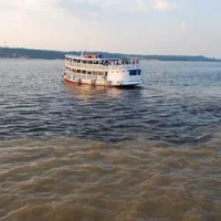 Amazon Dolphin And Meeting Of The Waters With Native Village Tour