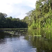 4-tägige Reise nach Pacaya Samiria in Iquitos