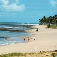 Tagesausflug Praia Do Forte & Guarajuba Beach