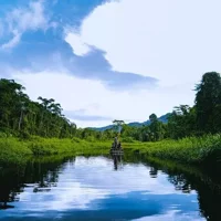 3-Day Manu National Park Tour from Cusco