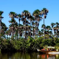 Boat Tour On The Preguiças River