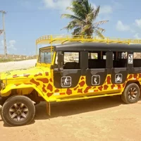 Kite Jeep Tour with Tree Canopy