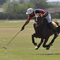Polo Lesson Experience at Villa Maria with Argentinean Barbecue