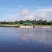 Lodge in the Jungle of Pacaya Samiria 3 Day Tour in Iquitos