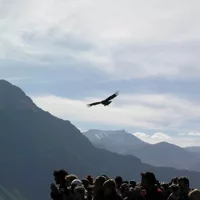 2-Day Colca Canyon Trek