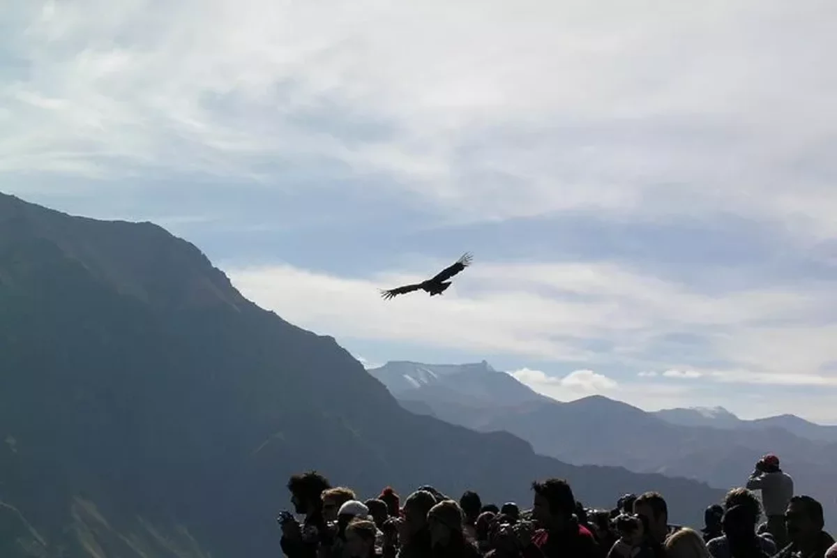 Trekking de 2 Días por el Cañón del Colca