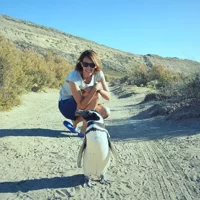 Patagonia Ranch and El Pedral Penguin Colony Tour from Puerto Madryn