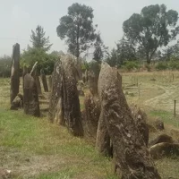 Tagesausflug zur UNESCO-Stätte Tiya & zur archäologischen Stätte Melka Kunture