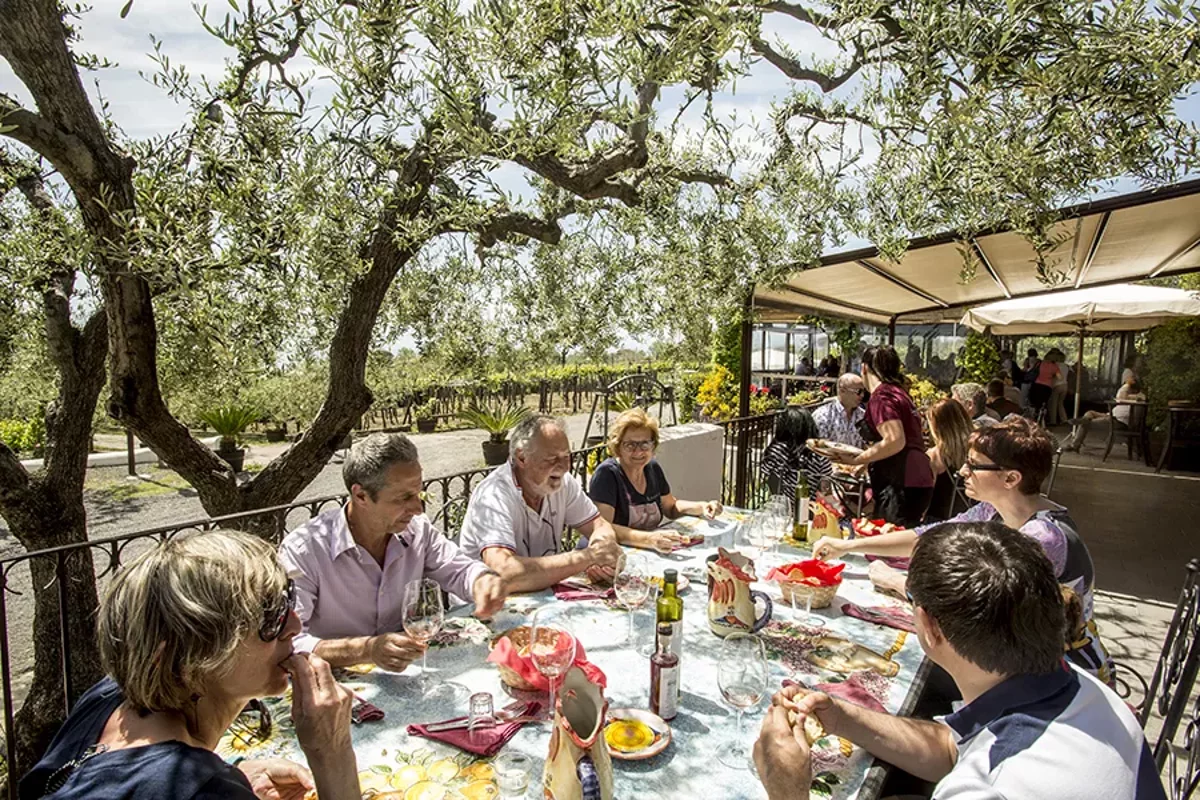 Visite guidée de dégustation de vins du Vésuve avec déjeuner inclus