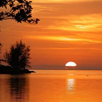 Key West: Sunset Sail Full Bar, Live Music & Dinner & Early Morning Snorkeling