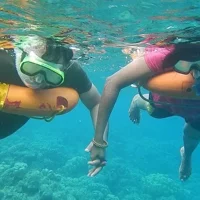 Key West Combo: Hop On Hop Off + Afternoon Snorkeling