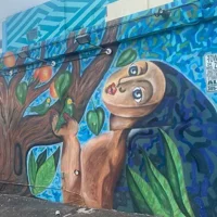 Little Havana Street Art Graffiti Walking Tour