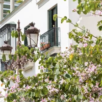 Seville: Santa Cruz neighbourhood with flamenco show (optional)