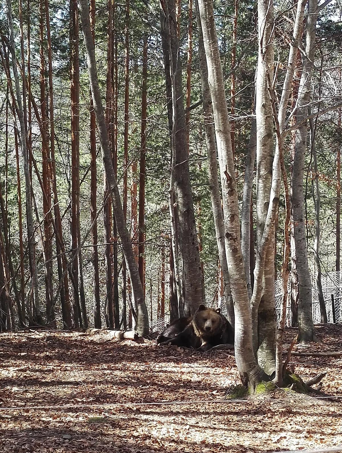 Eco Park Geranea Selbstgeführt