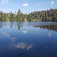 Private Buggy Experience All Seasons in Pamporovo