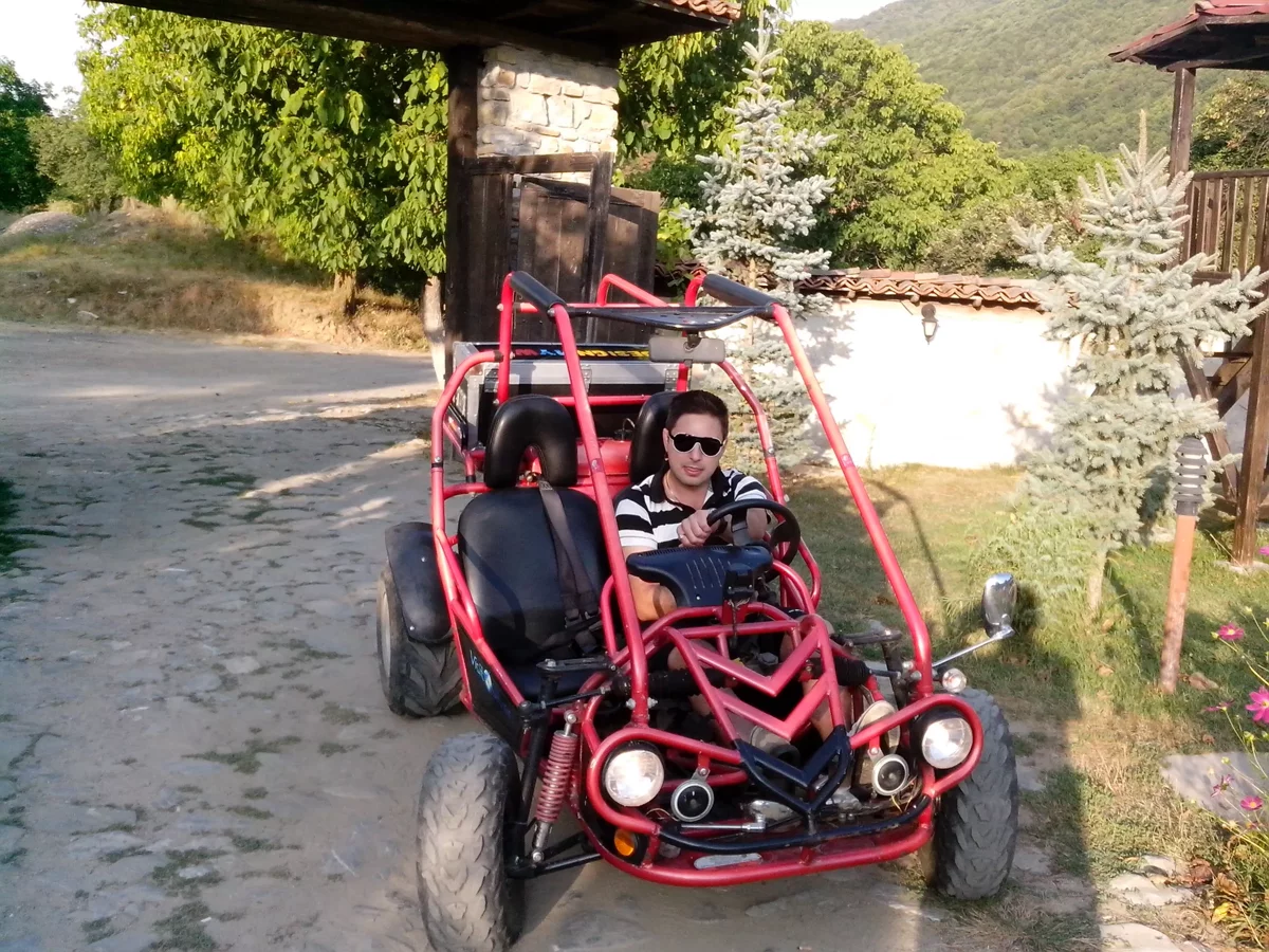 Tour privé des vignobles en buggy