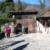Warteschlange überspringen: Tour im Freilicht-Ethnographiemuseum ETAR + Ticket