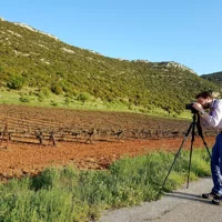 Private Nemean Wine Tour, Ancient Nemea & Mycenae from Athens