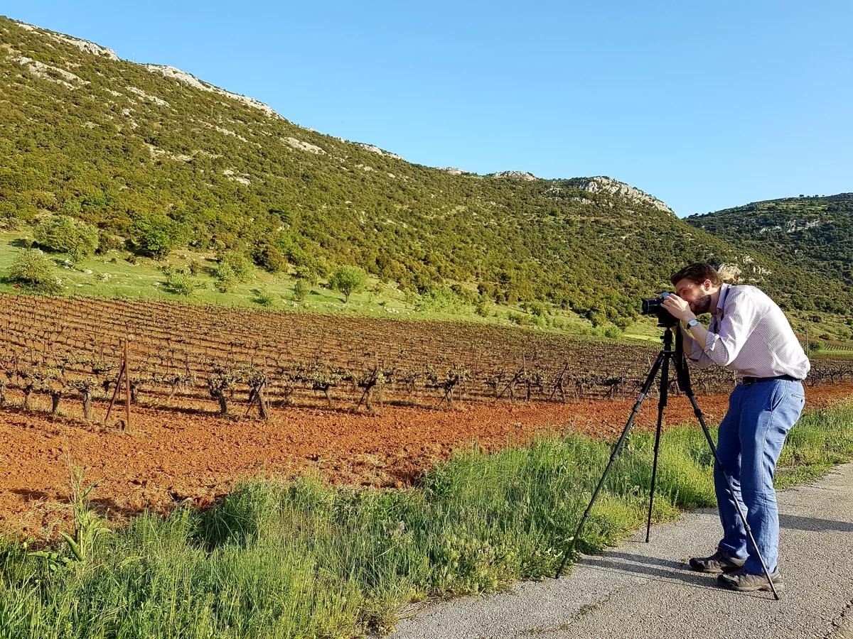Tour Privado de Vinos de Nemea, Nemea Antigua y Micenas desde Atenas