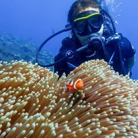 צלילת Fun Dive בטולאמבן לצוללן מוסמך בספינת שיט טרופה וגן האלמוגים
