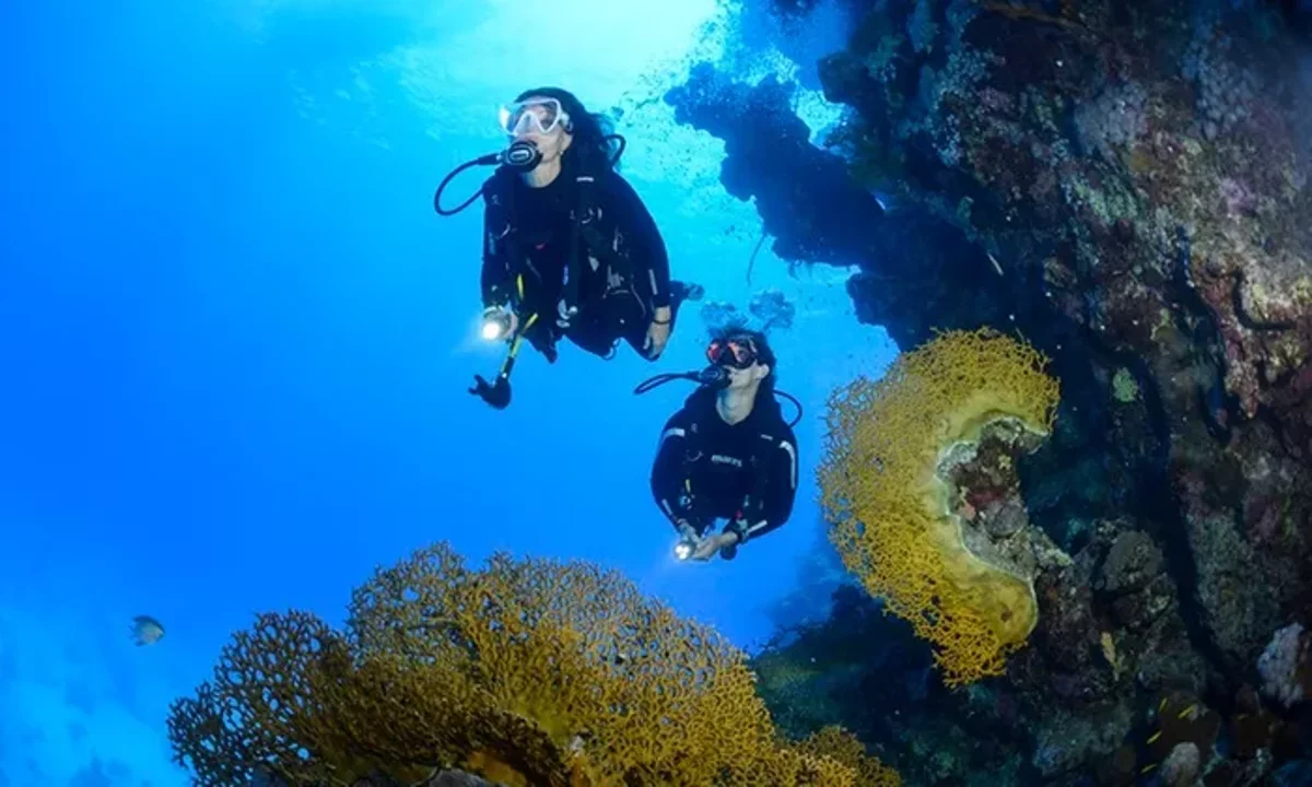 Buceo de Día Completo en Aguas Abiertas a Menos de 18 Metros de Profundidad en el Mar de Tulamben