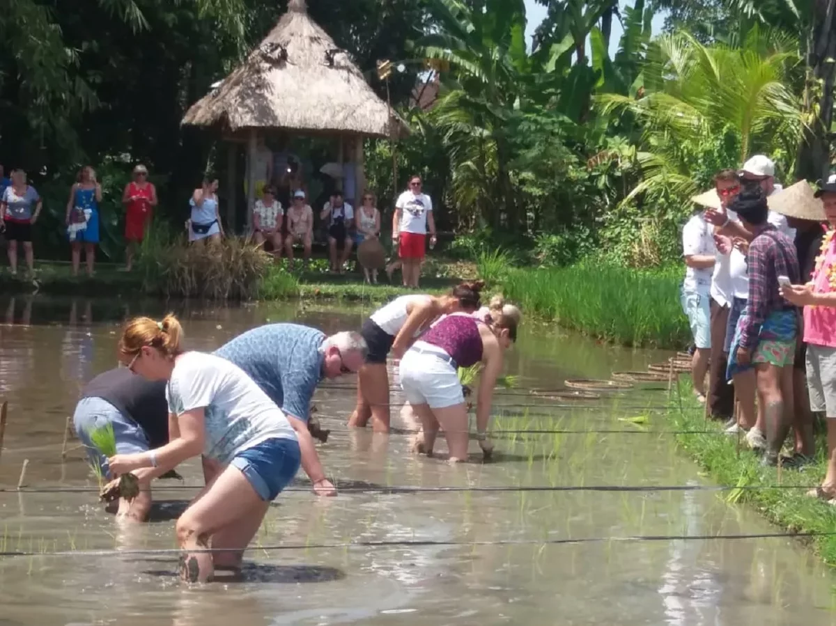 Privater Kulturausflug ins balinesische Dorf und zum Tanah Lot Tempel
