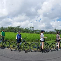 A Ride Bali Bike Rural Tour Including Hotel Pick up