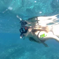 5 Hours Bali Blue Lagoon Snorkeling Tour Including Tanjung Jepun