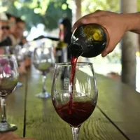 Wine Tasting Tasting from San Diego