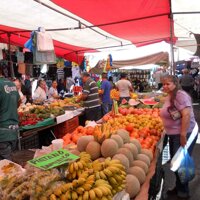 Der Flohmarkt in Mexiko ab San Diego