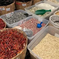 Cross Border Vegan Food Tasting from San Diego