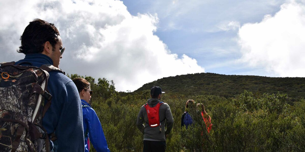 Excursión a las Pinturas Rupestres del Paleolítico en Baja México desde San Diego