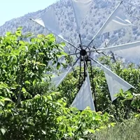 Tour en Grupo Pequeño a Pueblos Auténticos de la Meseta de Lasithi y Almazara