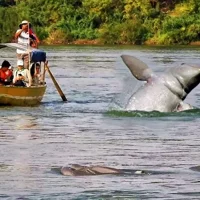 Discover Cambodia 8 Days from Siem Reap to Kratie and Phnom Penh