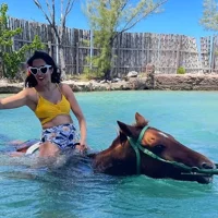 Reiten in Montego Bay