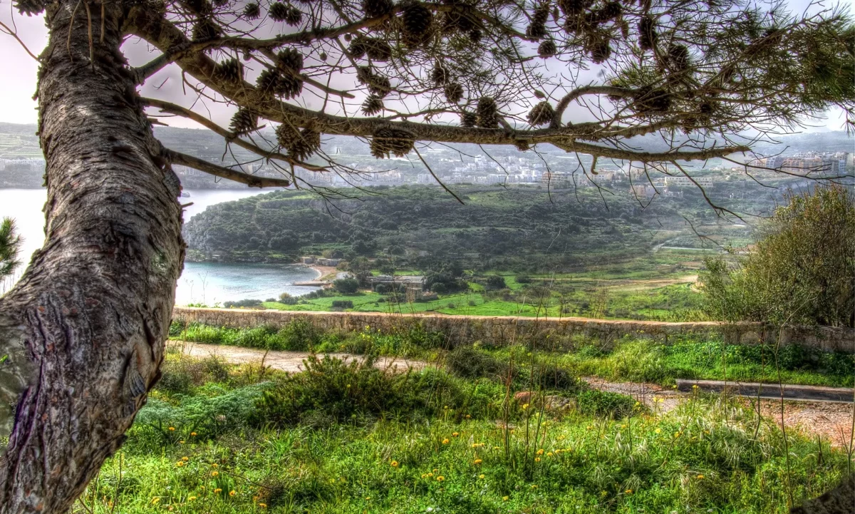 Mistra Valley & Selmun Natur-Wandertour (Privattour)
