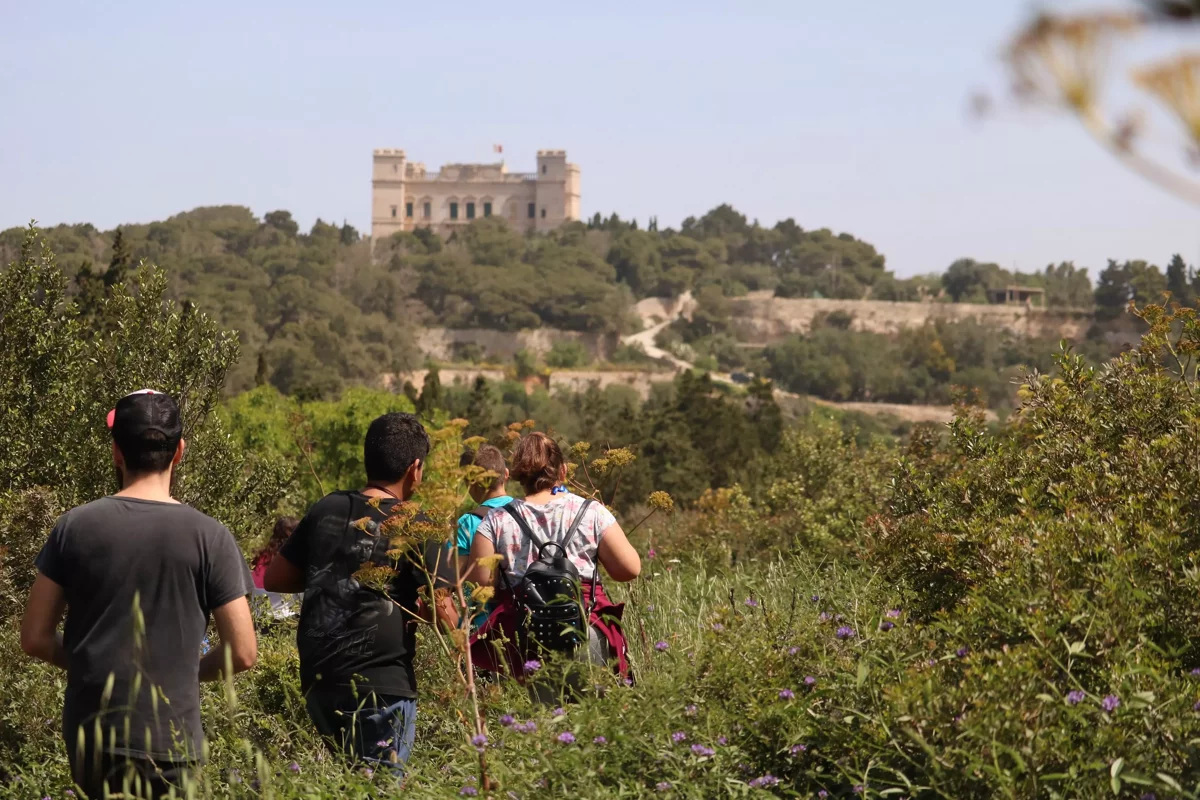 Buskett Woodlands & Dingli Cliffs Natur-Wandertour (Privattour)