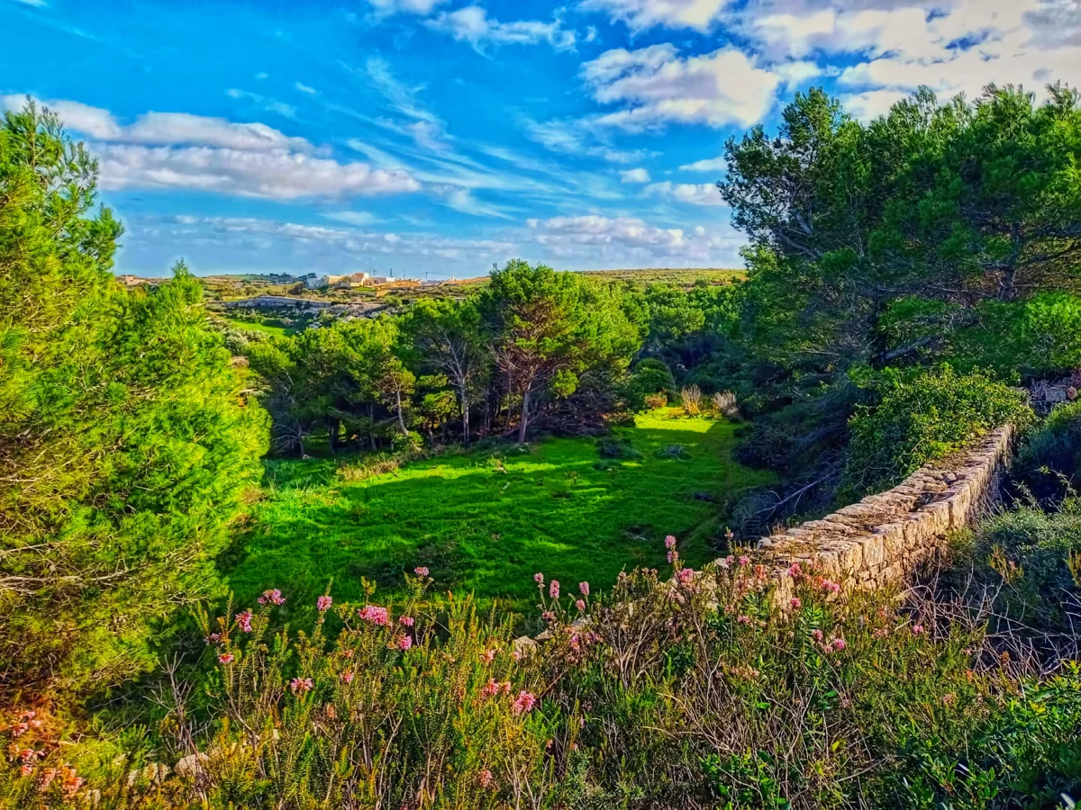 Chadwick Lakes, The Victoria Lines & Bingemma Valley Natur-Wandertour (Private Tour)