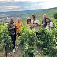 Small-Group Champagne Lunch & Tasting from Paris with Pickup