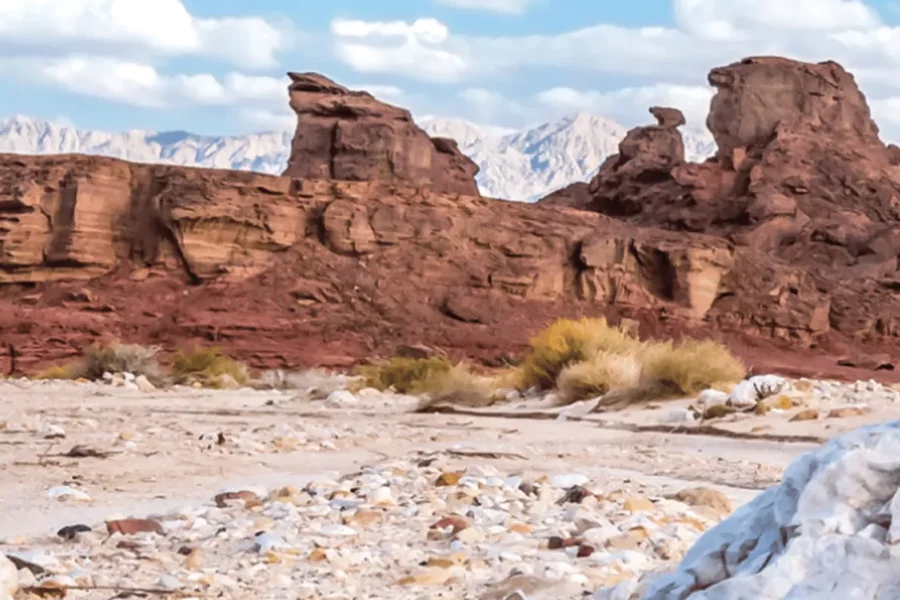 Timna Park Entry Ticket