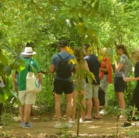 Tour de Especias de Zanzíbar con Comida Local